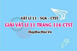 Giải Vật lí 11 Chân trời sáng tạo trang 116 SGK